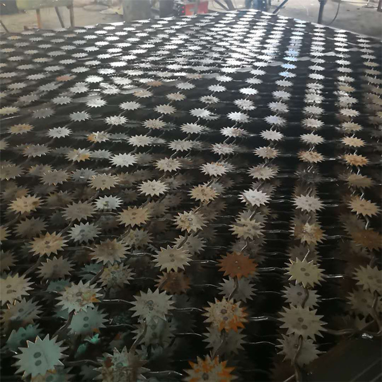 梅花刺監(jiān)獄防護(hù)網(wǎng)案例展示圖片2 梅花刺監(jiān)獄防護(hù)網(wǎng)案例展示圖片2