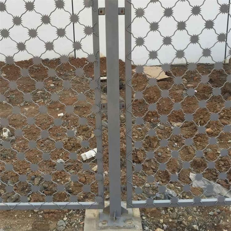 梅花刺監(jiān)獄防護(hù)網(wǎng)案例展示圖片4 梅花刺監(jiān)獄防護(hù)網(wǎng)案例展示圖片4