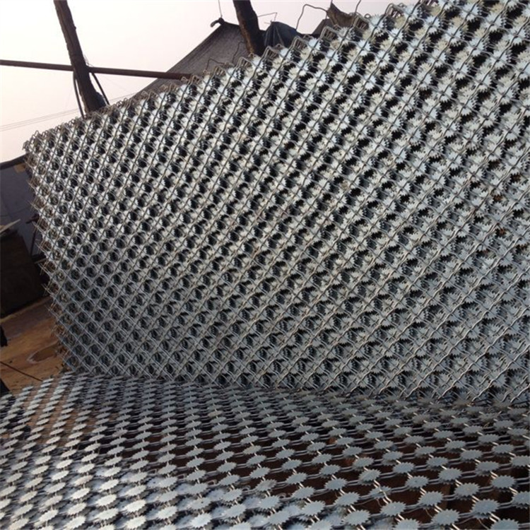 梅花刺隔離網案例展示圖片4 梅花刺隔離網案例展示圖片4