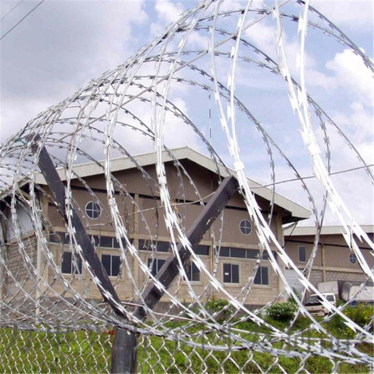 刀刺網案例展示圖片2 刀刺網案例展示圖片2