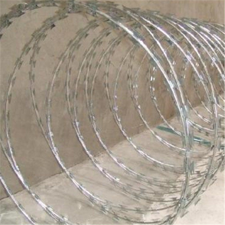 刀刺網案例展示圖片3 刀刺網案例展示圖片3